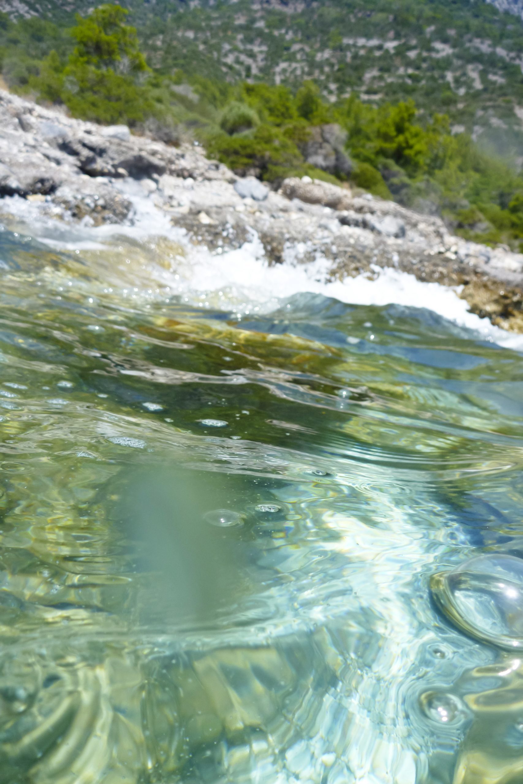 How to Start a Boat Rental or Tour Business: A Step-by-Step Launch Guide - boat charter | boat insurance | boat maintenance