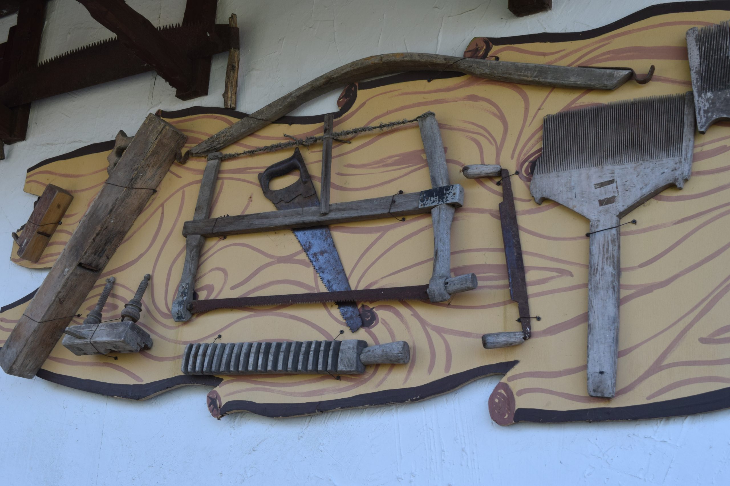 Charting Success: How to Build and Grow a Boat Rental and Tour Business - boat rental business | boat tour business | boating licenses