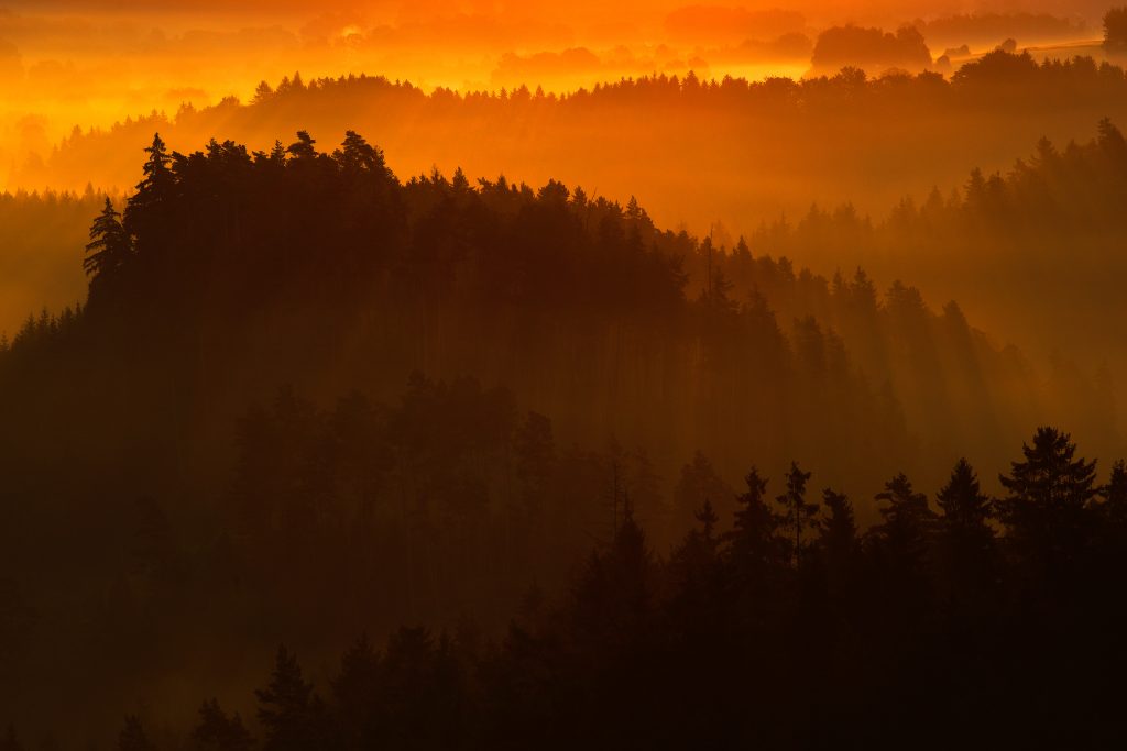 Tropical Tresses: Miami’s Must-Have Haircuts, Hues, and Styling Tips for Women - balayage Miami | beach-to-bar hairstyles | blonde balayage